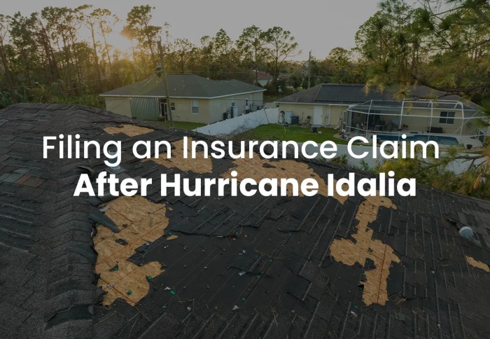 Insurance hurricane public claims damage adjuster adjusters contact