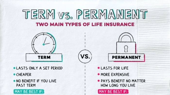 Term life insurance vs whole life insurance cost comparison