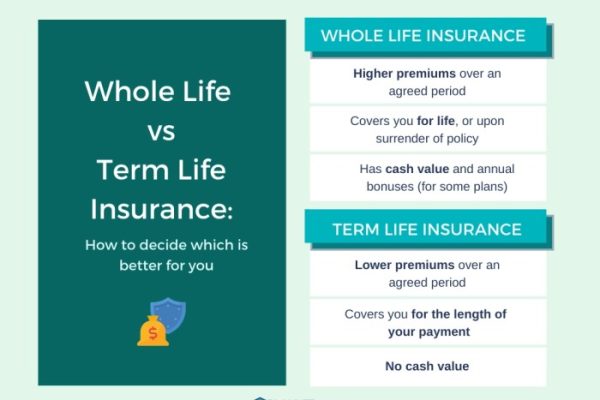 Term life insurance vs whole life insurance cost comparison