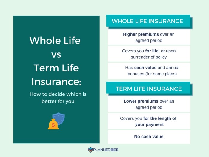 Term life insurance vs whole life insurance cost comparison